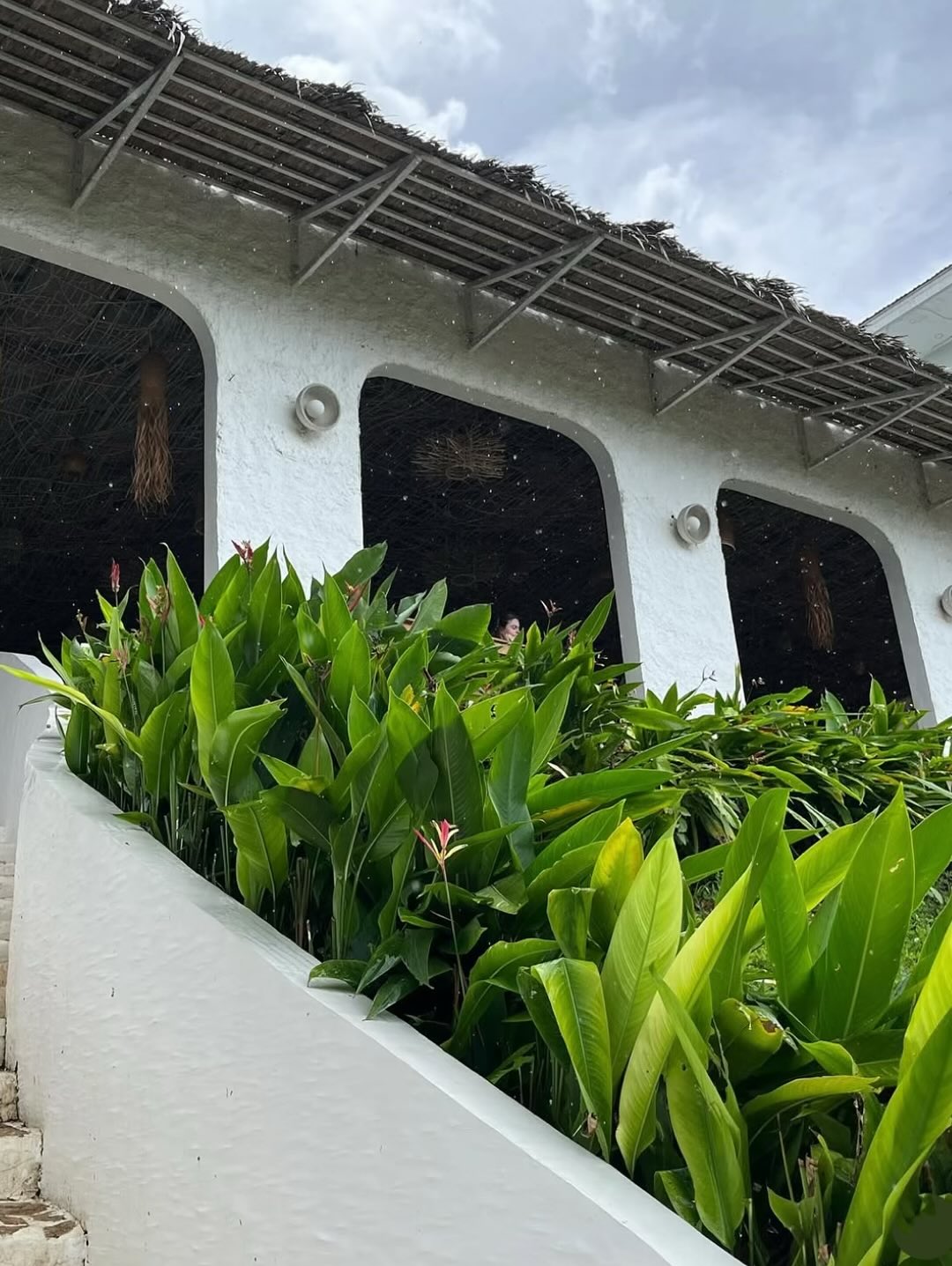 545275064 17985843233849425 2445266615667371001 n