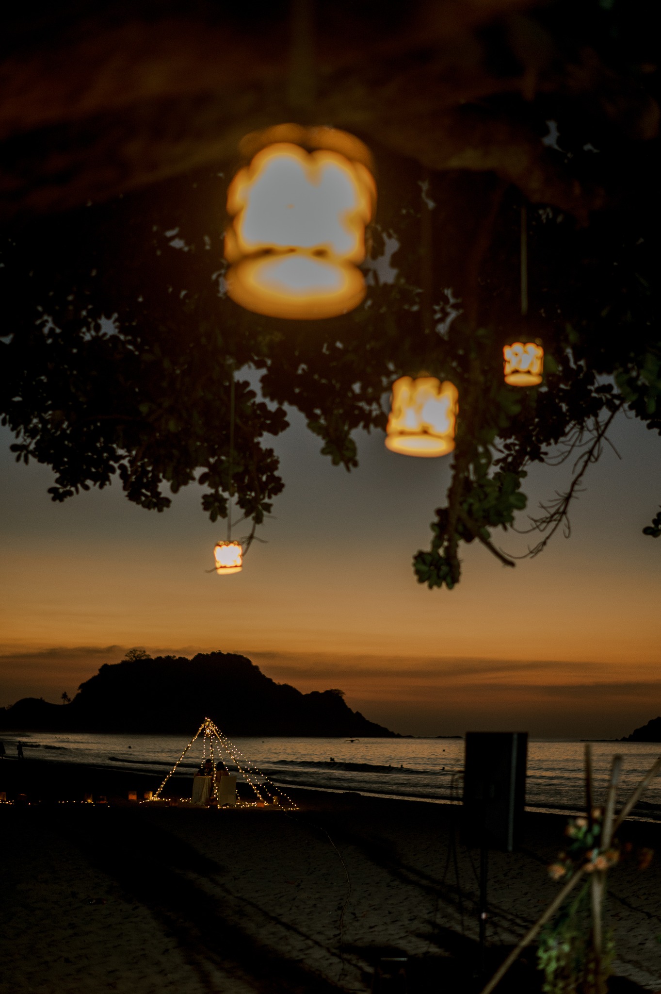 545577764 1346554867478020 8694485933546343304 n