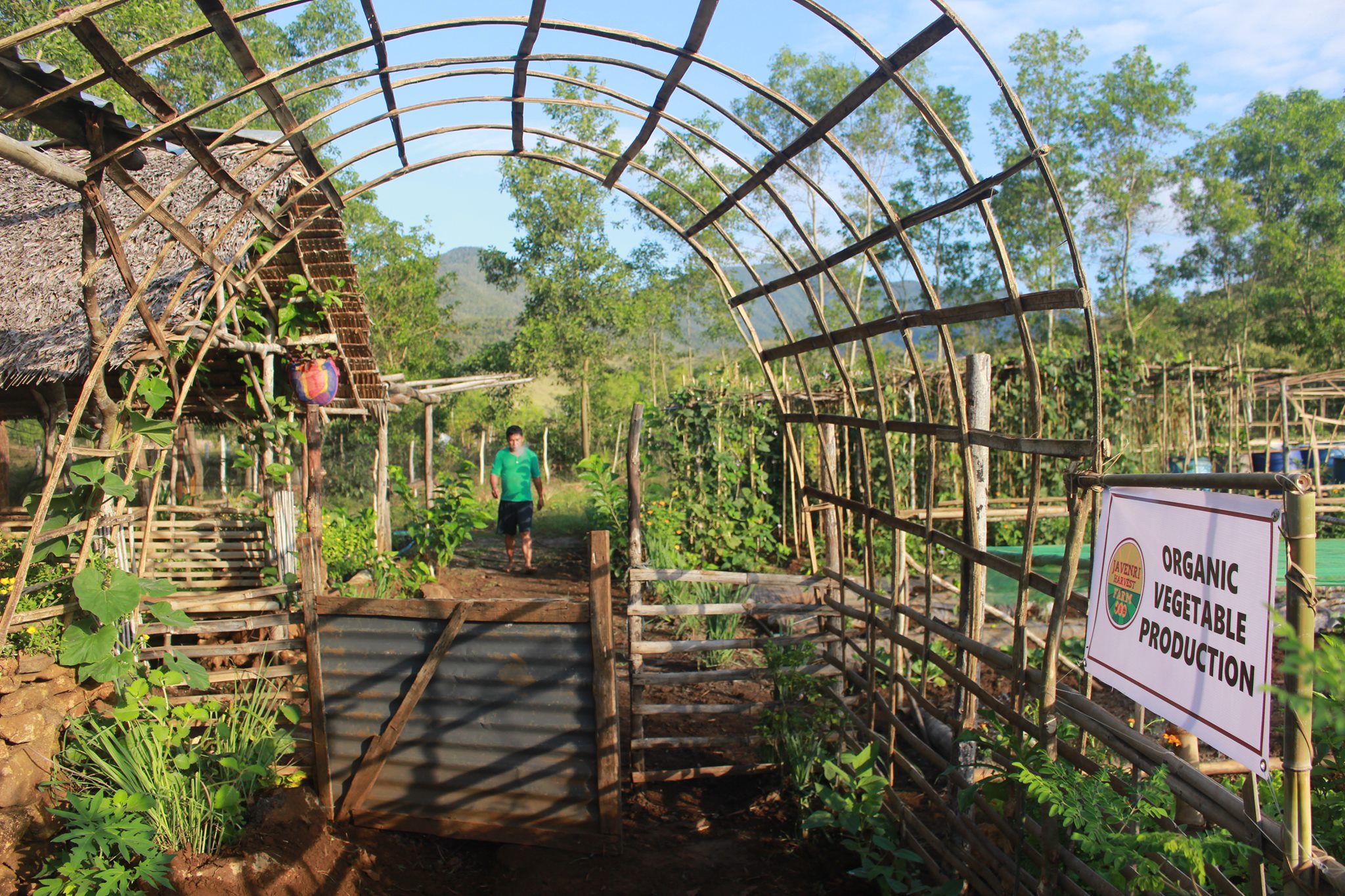 104875195 3064740156974679 6311540010255917188 n