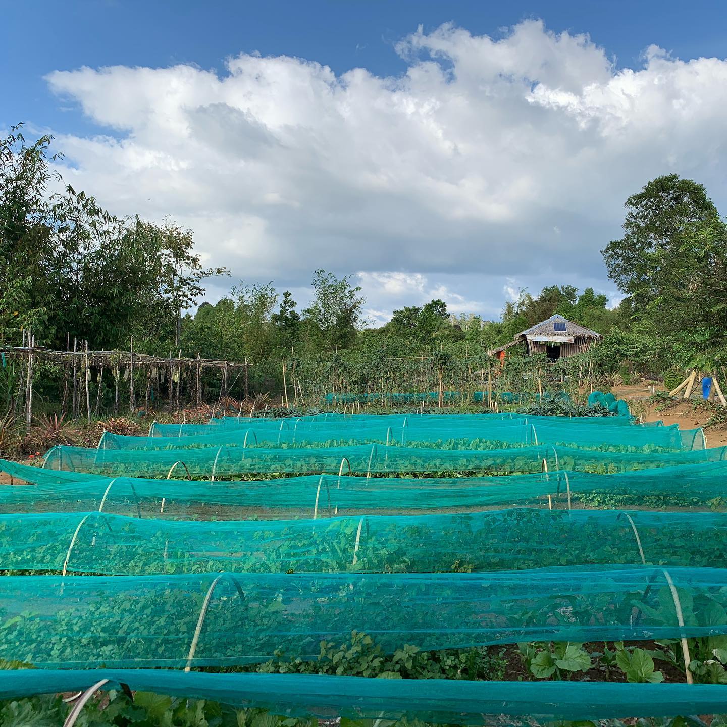 107694101 1147156572333199 1723965516230012699 n