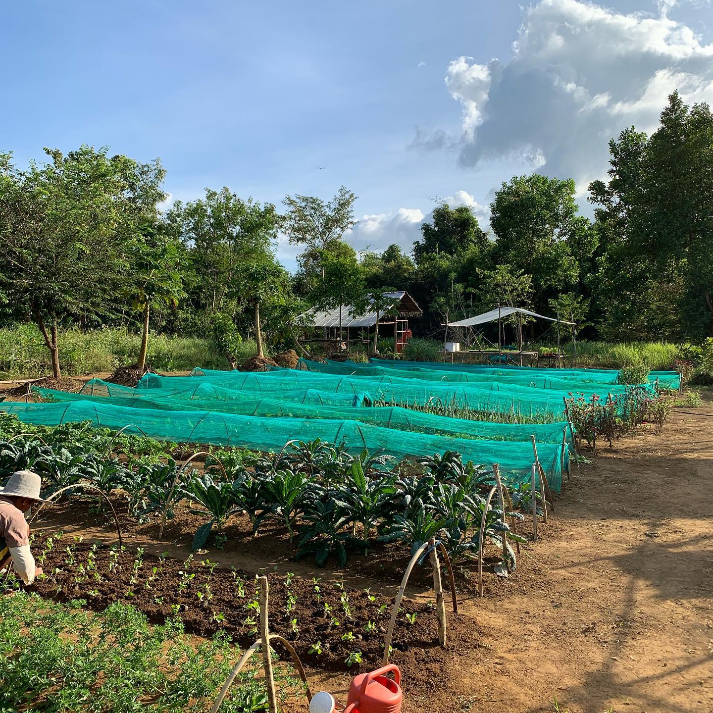 108342234 1147156492333207 5329277379378235950 n