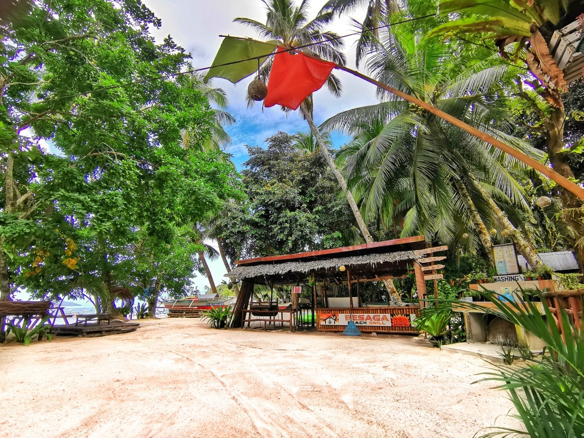 146247202 2494367224193062 1836900262290318279 n