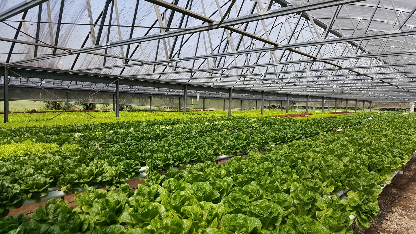 30708855 2047785265249565 6232504468601044992 n