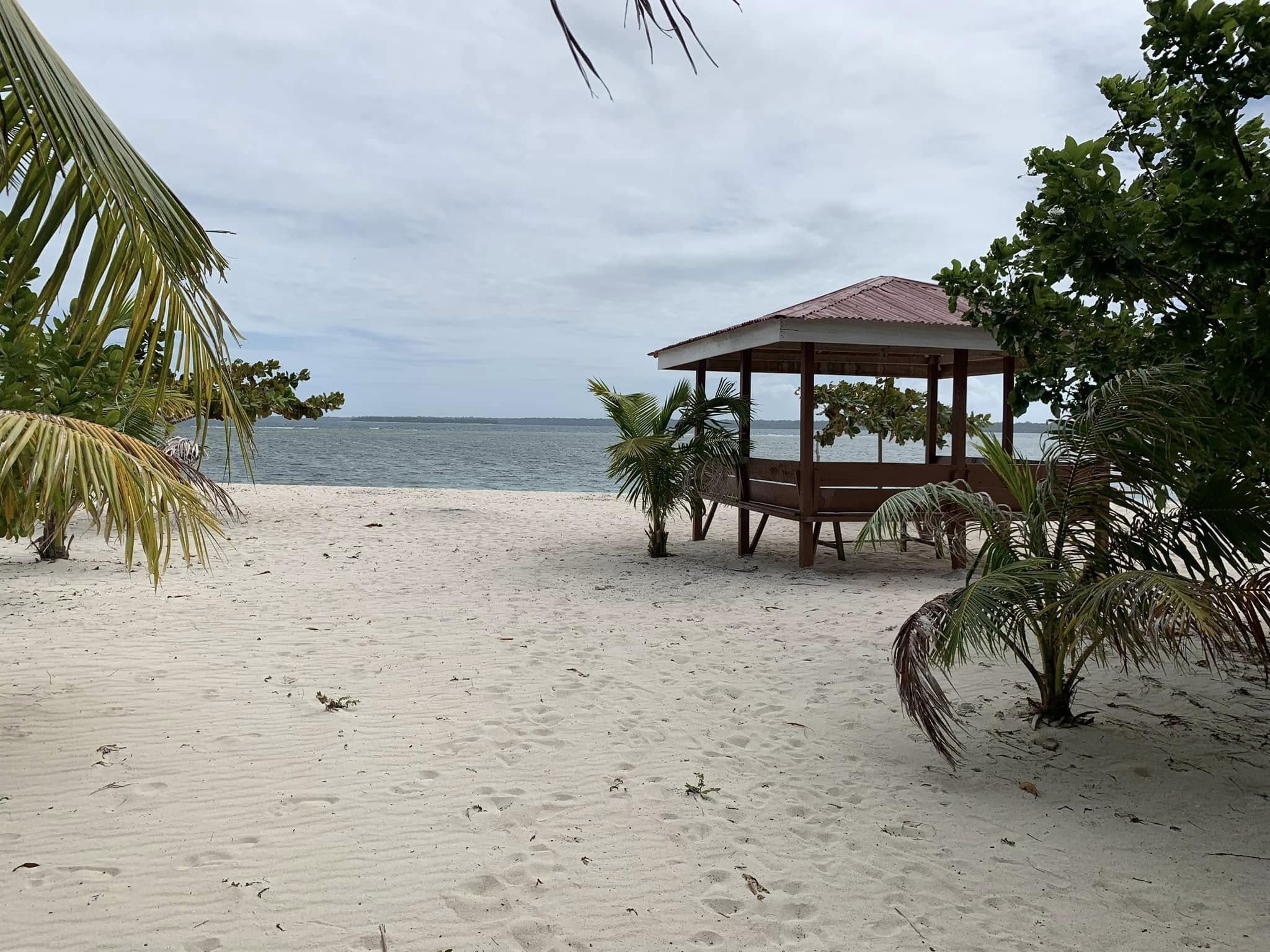 481024520 648643724197110 5478371510480393333 n