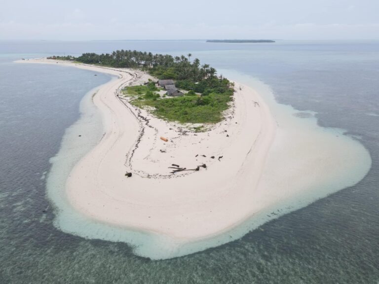 481920757 653677447027071 5831438553694207304 n 768x576