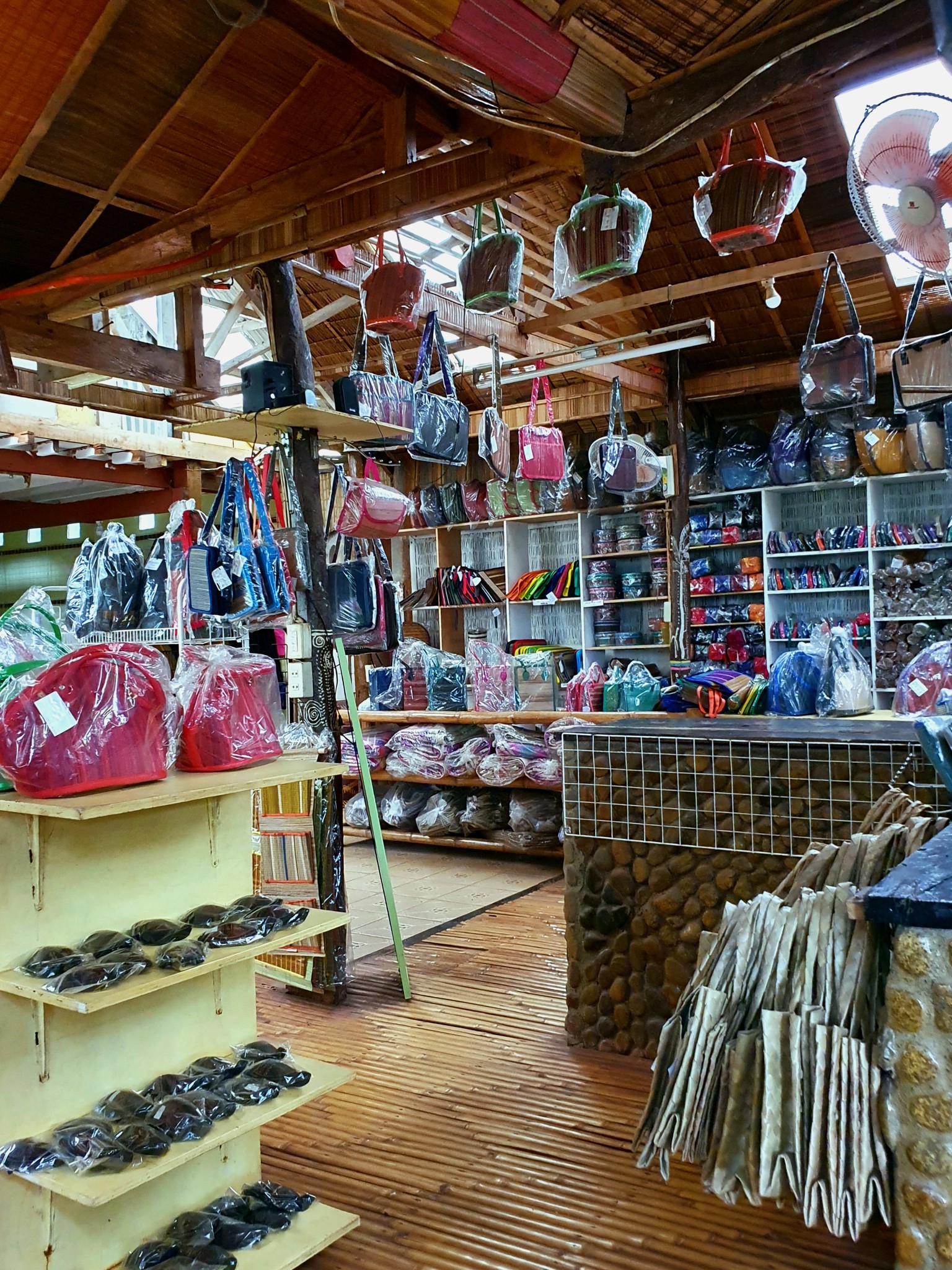 482248793 3977400895875147 256755734948280015 n