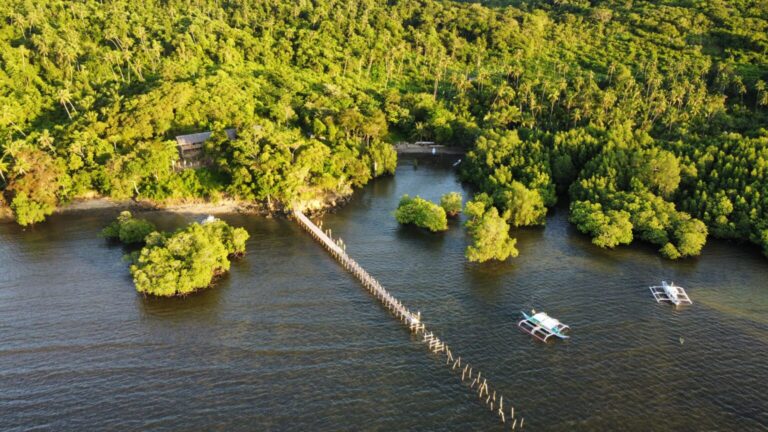 484827915 956697576676523 2045066117636990991 n 768x432