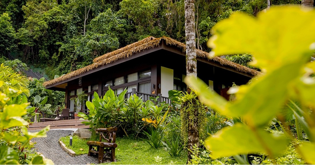 491043683 1151916880281018 7010435702613659495 n