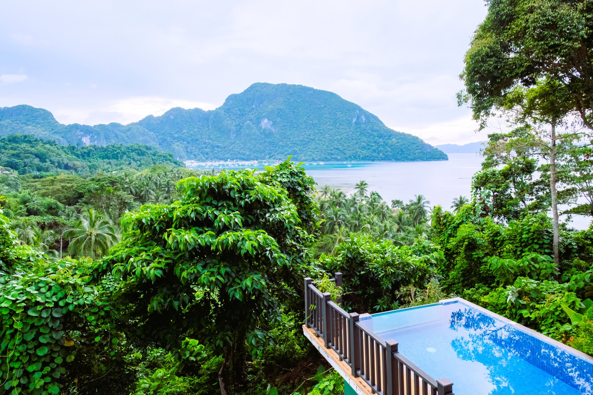 492231899 1161696582636381 8534274441309178732 n