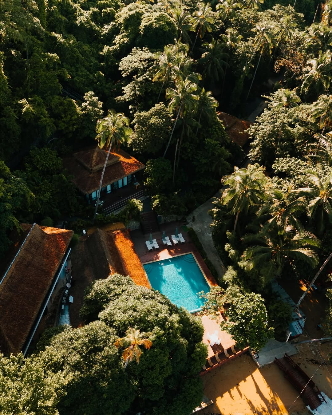 492635845 1162784582527581 4966632728217201553 n