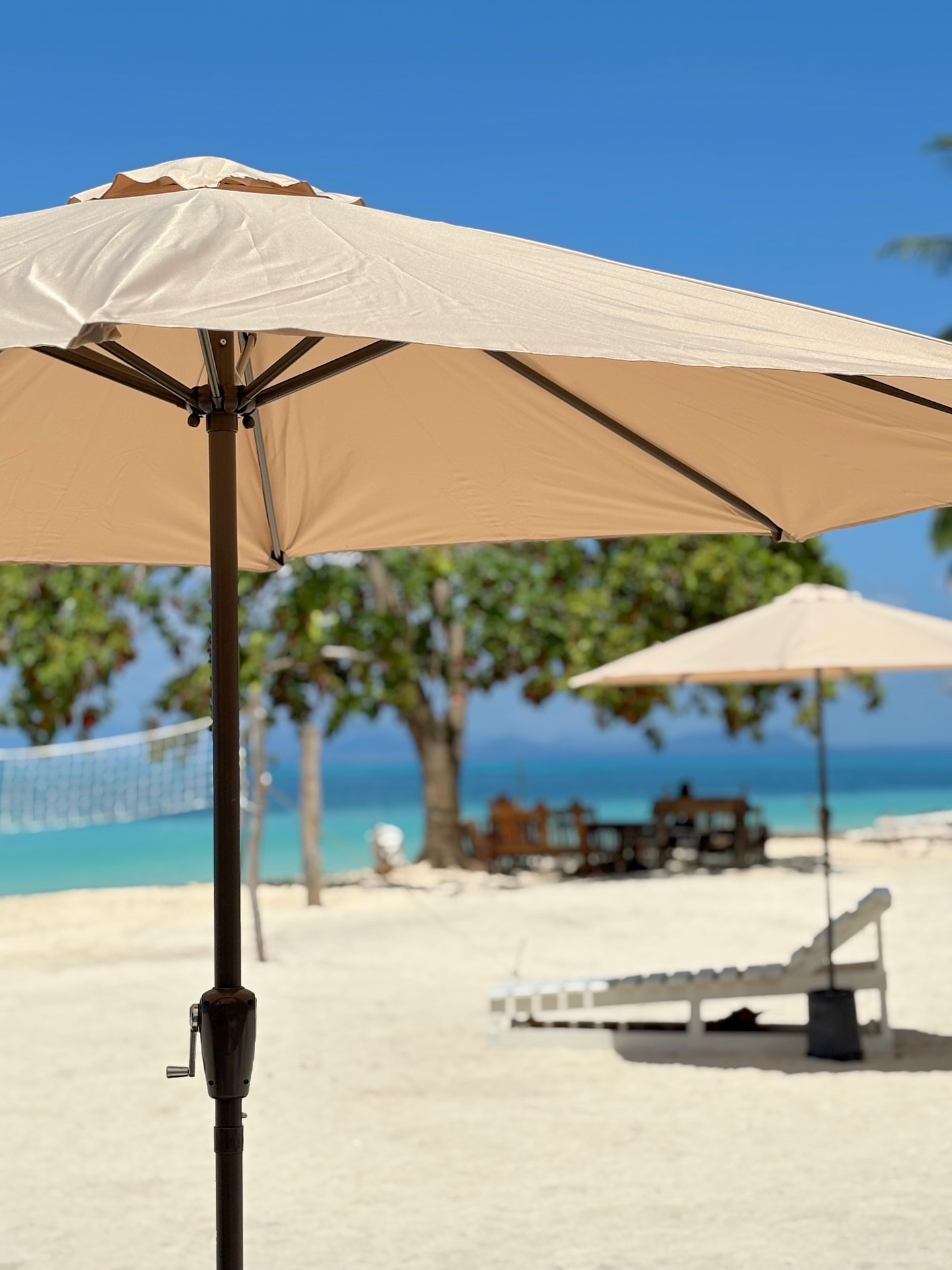 503691606 17937734022041958 4193774944288453635 n