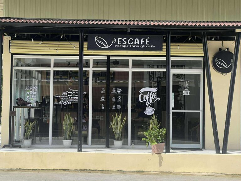 535082027 696866390068703 5969730644465202196 n 768x576