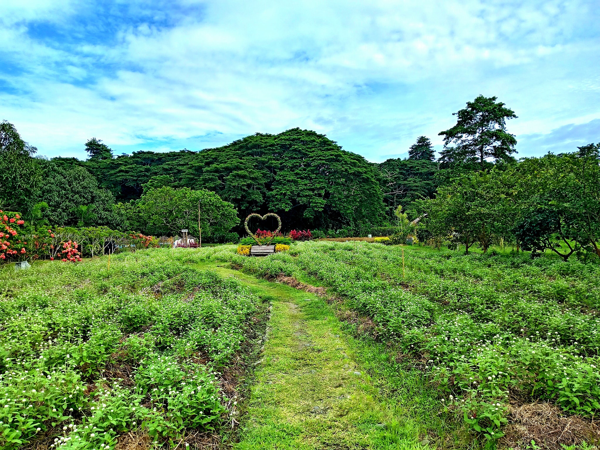 571242027 1248871610382492 1961401161497981784 n