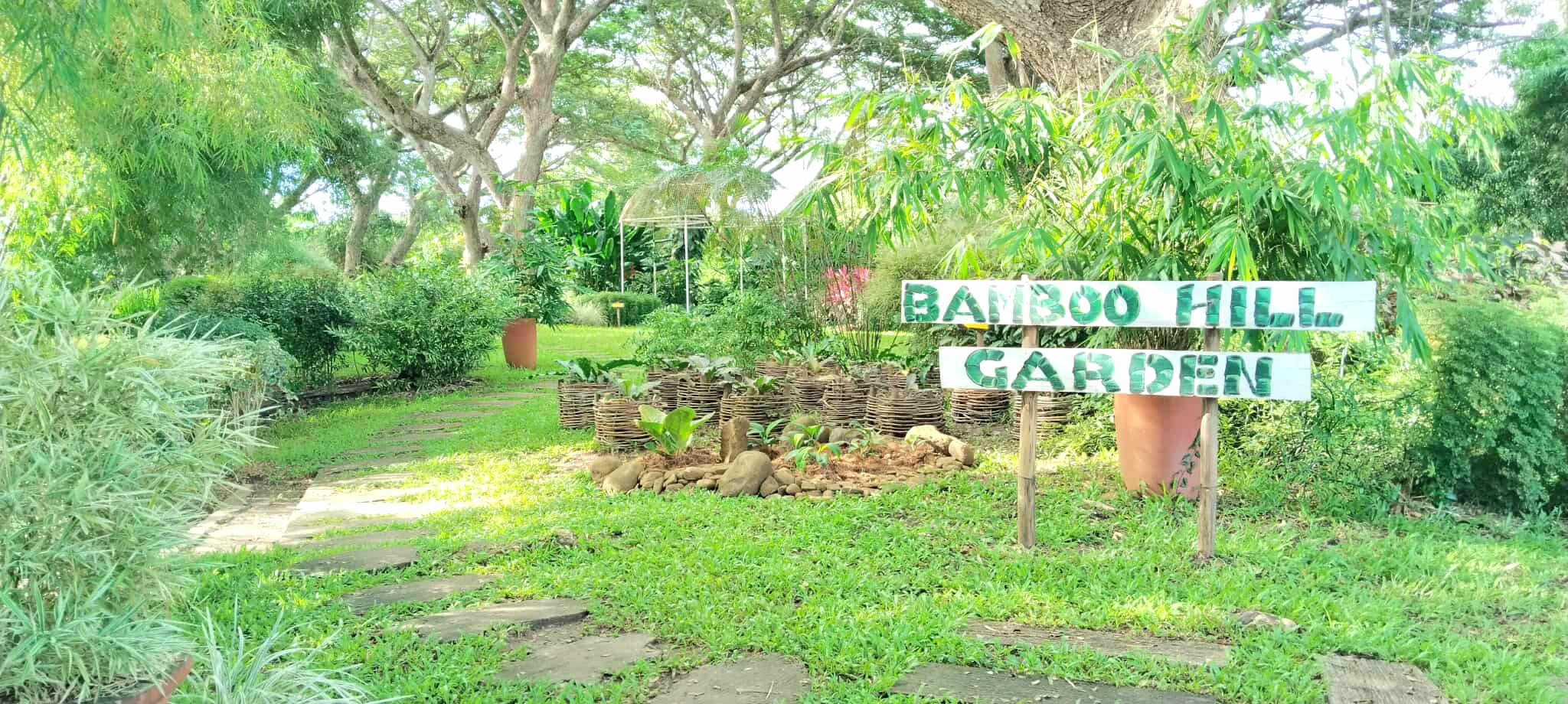 571326913 1248892723713714 3446330135720753206 n