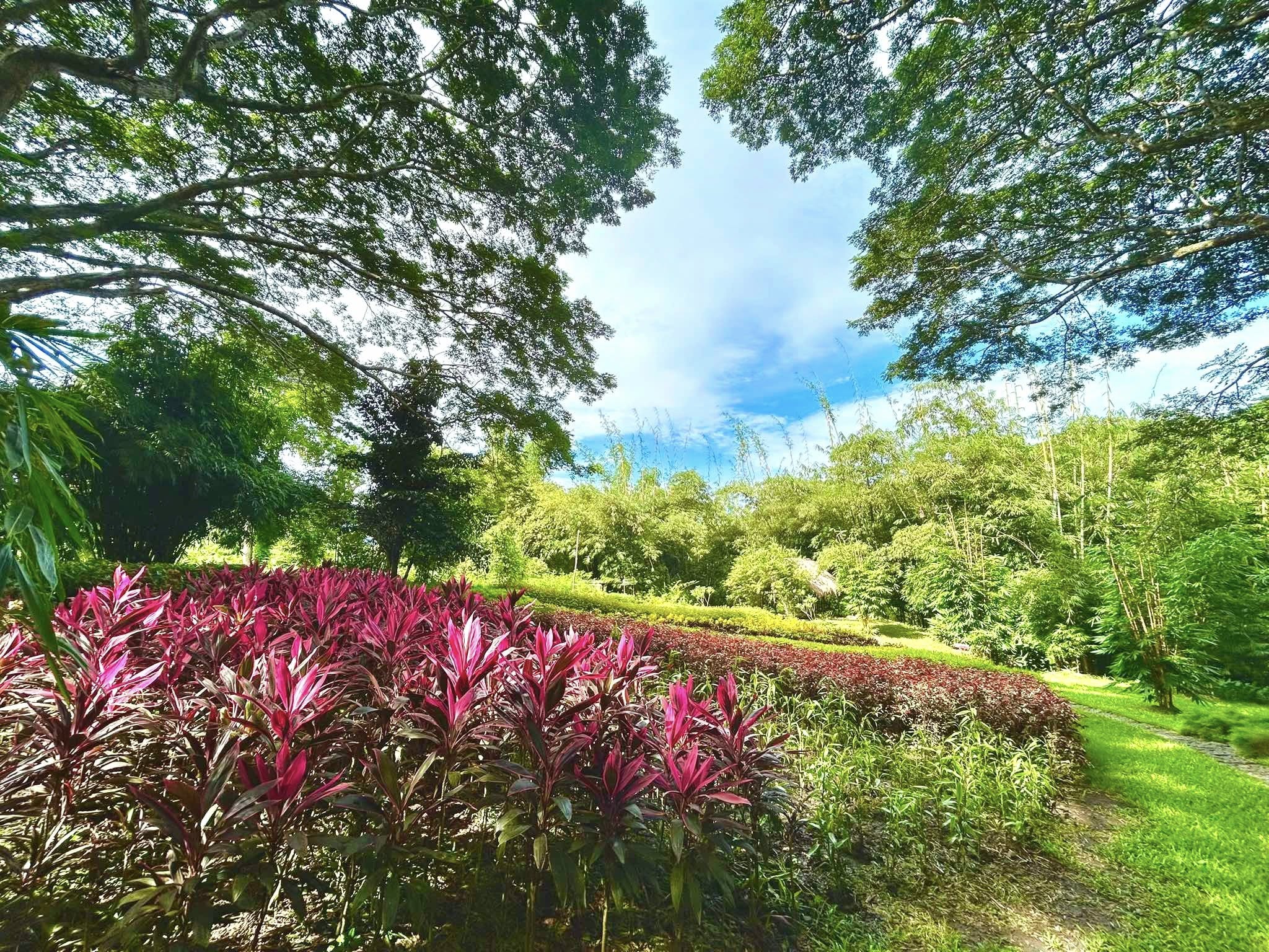 573366065 1248892977047022 8694815516817369610 n