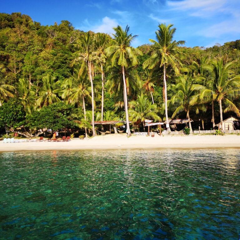 60863997 2748552801826462 7968122794686808064 n 768x768