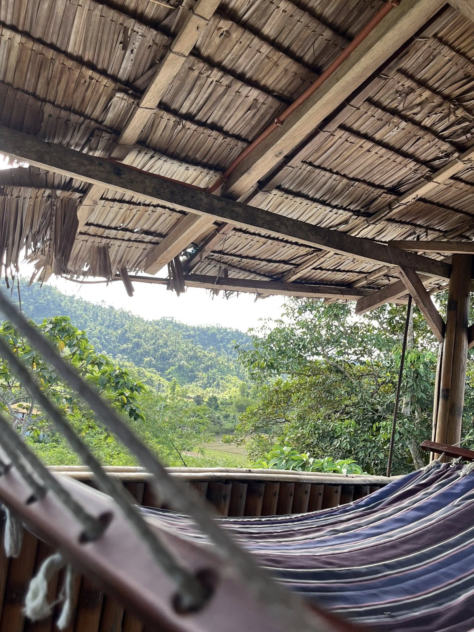 506047839 682572524538758 7088900478280034381 n