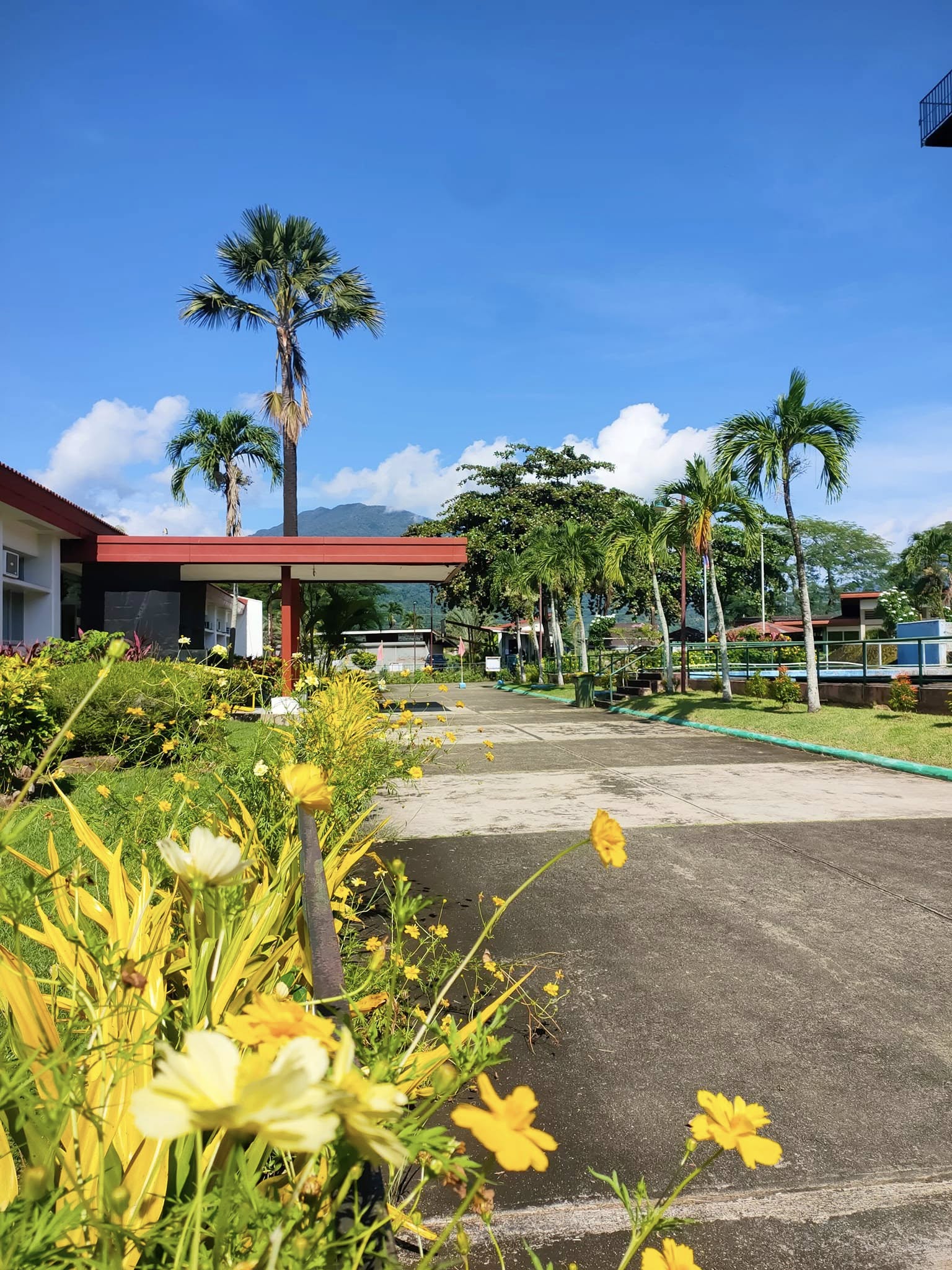 Crocodile Farm garden