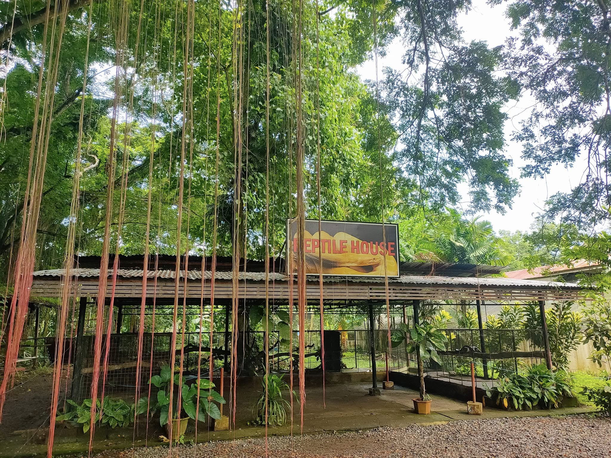 Crocodile Farm reptile house