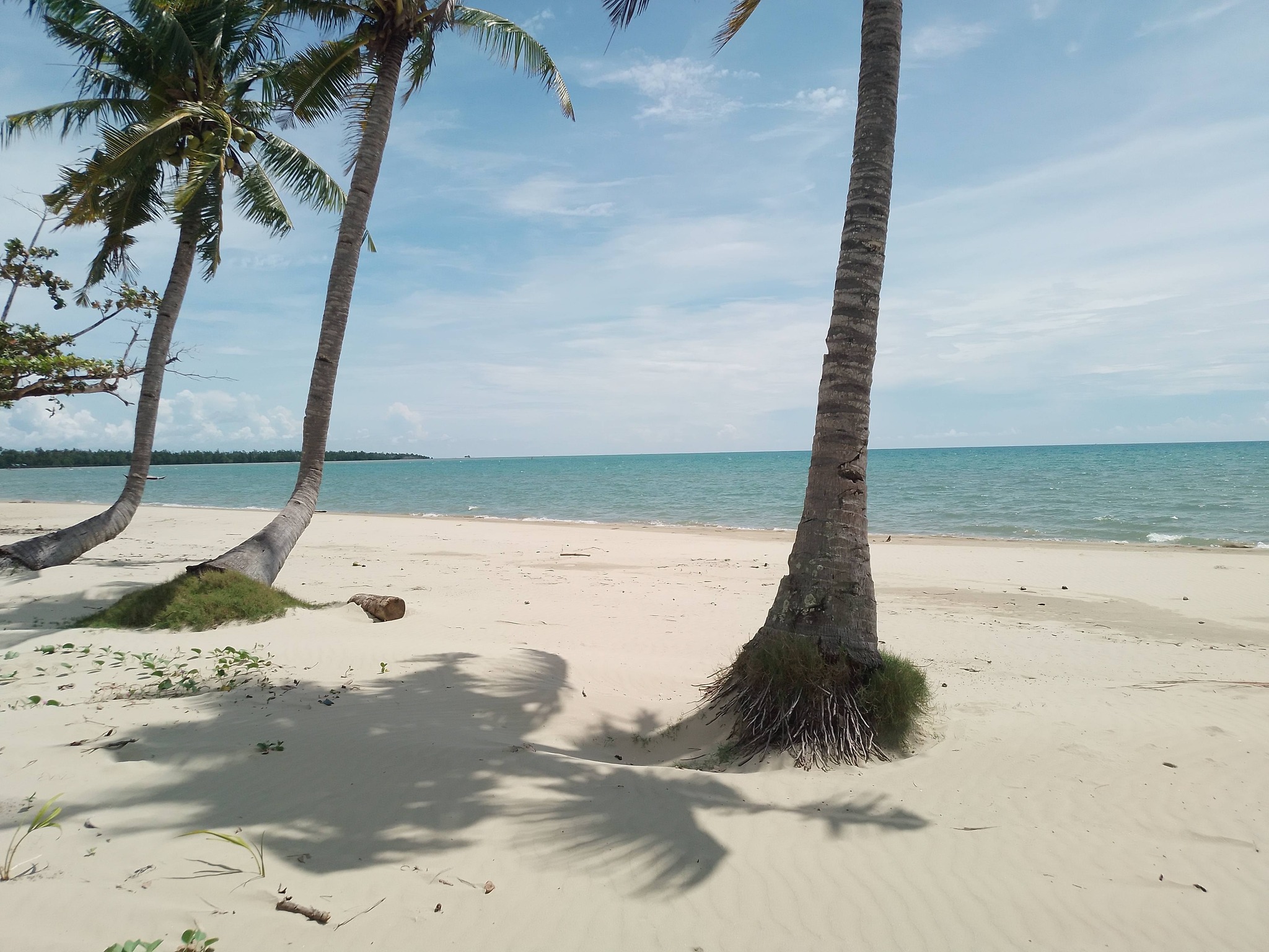 beach front henalric